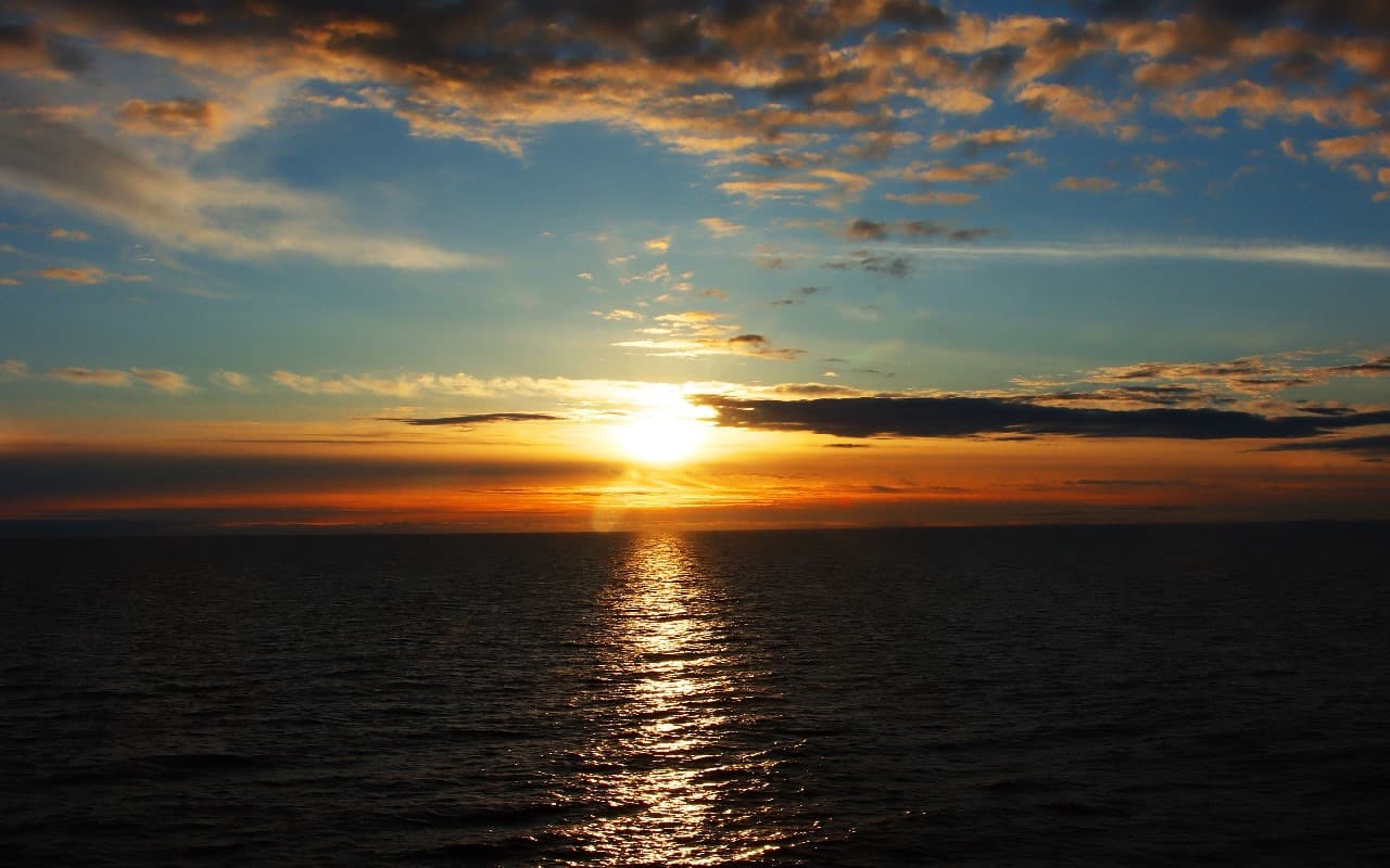 Lowcountry marshland background